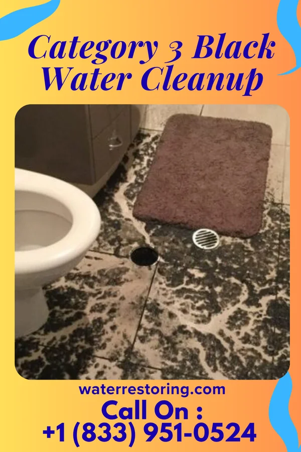 Category 3 Black Water Cleanup in Bark Ranch, CO