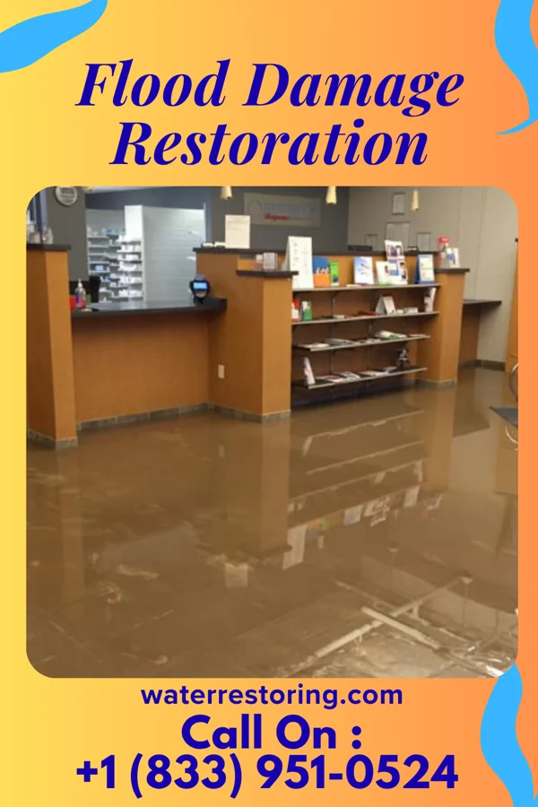 Flood Damage Restoration in Bark Ranch, CO