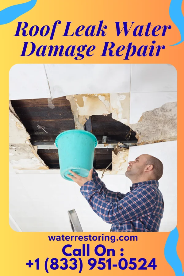 Roof Leak Water Damage Repair in Bark Ranch, CO